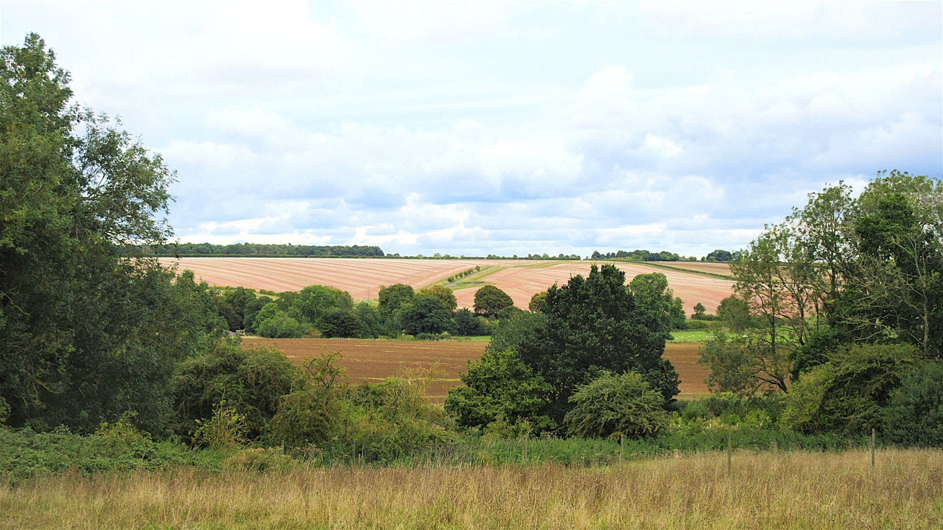 A Tealby view